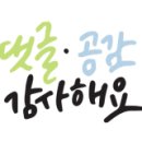 수정제일오토바이