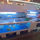 울산케미 이미지