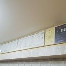 머리애봄 이미지