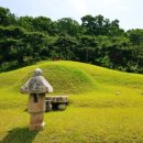 이집 묘소 이미지