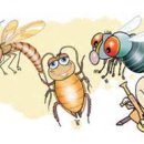 파리와 모기와 바퀴벌레. 이미지