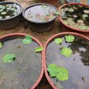 안동농원 이미지