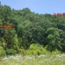 포항시남구27 이미지