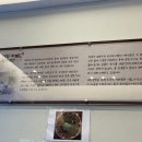 대일액자
