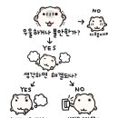 에바셀렉션