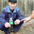 지곡천 3 Daum카페