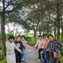 사람과자연 제주비오투 | 제주도 승합차 투어 기사포함 후기 제주 가을여행 완벽 만족