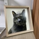 채널독 | 반려동물증명사진 슈바독 고양이 핸드폰사진 증명사진 액자 제작 후기