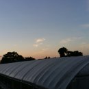 일만농장 이미지