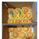 낙동북로 이미지