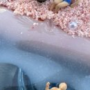 솝앤버블스 이미지