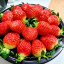 영신유통 이미지