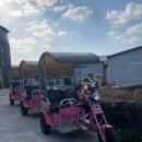 제주 트윈즈 | 제주도 우도 전기차 &#39;코코나라&#39; 2인승 렌트 솔직후기