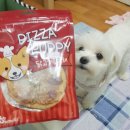 디어마이펫(DEARMYPET) 네이버블로그