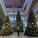 NR-3[성남대로]-하-159 | 12월 (판교 오리지널팬케이크하우스, 세시셀라, 크리스마스 연말 홈파티, 대전 오씨칼국수, 계룡 고들...