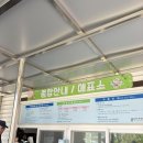 경기도 용인시농촌테마파크 놀이터 | 용인 농촌테마파크 :: 용인 아이랑 가기 좋은 곳, 농촌테마파크 재방문 후기 (동물·곤충관·놀이터까지)