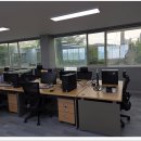 영토탈크리닝 이미지