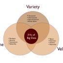 부경가축인공수정소 | 빅데이터(Big Data) 정의, 5가지 특징, 적용사례, 직업_총정리
