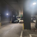 브라운도트 호텔 수영 이미지