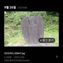 북삼리석조여래입상 Daum카페