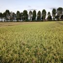 황토현마을 이미지