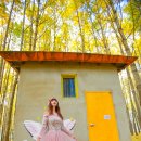 도리마을 숲 이미지