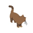 Petshill (펫츠힐) 이미지