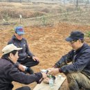 용동농장 이미지