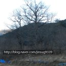 문등1리 이미지