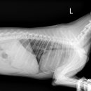 삼양 동물병원 이미지