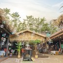 야자수 펜션 민박 이미지