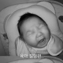 비유니콘