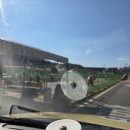 장내앞천 | 2종 보통 운전 면허 취득 후기