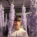 용인대 국가대표 유도장 이미지