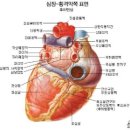 심포