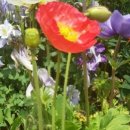 당산행정사사무소 이미지