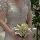 [유부👰🤵] 독보적 빈티지 색감 맛집 / 더베뉴지 솔피노 아이폰 스냅 내 돈 내산 계약 후기