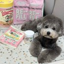 파트너 소프트 | 네이버 펫 바우처로 구매한 허레이 강아지 물티슈, 프로덴 플라그오프 소프트츄 후기