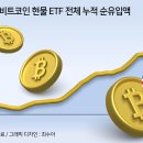 와이즈오리진 이미지