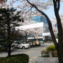 방아다리길 이미지