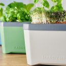 사미가가든 이미지