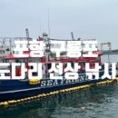 낚시배 선상낚시 펜션좌대낚시체험 네이버블로그