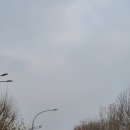 (버스)미주아파트.서울제일병원 이미지