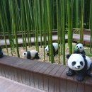 동울산종합시장 이미지