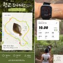 도다 | 광교산 트레일러닝🏃 광교 도다리런🐟 10km 트런 후기!