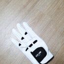 벤호건 스크린골프 | 골린이의 벤호건 아이언 세트, 마루망 제타 등 골프용품 선물받은 후기