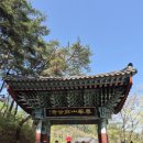 홍익산악회 4월 행사 이미지