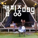 캠핑중DOG 이미지