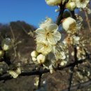 형제 2농장 이미지