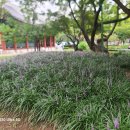 경상감영공원 이미지